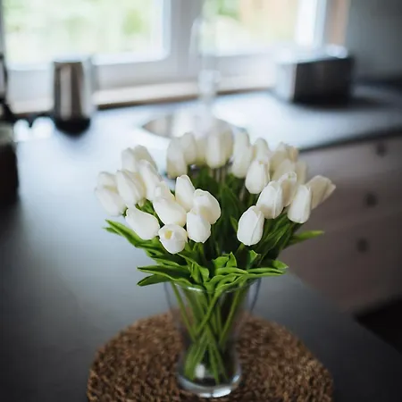 Rostocker Stadtidyll