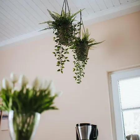 Rostocker Stadtidyll Rostock